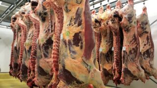 Beef and lamb prices must strengthen warns UFU