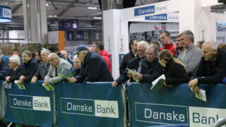 Winter Fair: Crowds flock to Northern Ireland’s biggest dairy show
