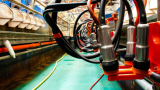 Dodds: Dairy industry should pressure EU to strike a deal