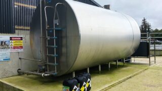 What should I do if my milk has been contaminated with antibiotic residues?