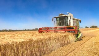 Mixed fortunes as NI crop yields and production estimates published