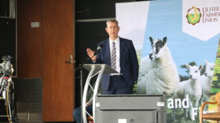 TB: Minister Poots hints at plans to propose NI badger cull in the autumn