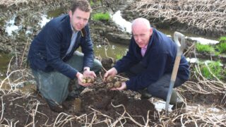 NI potato harvest: Unfinished business as up to 10% remains underground