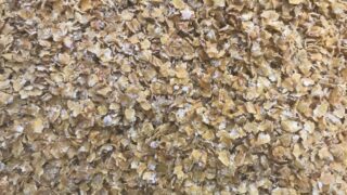 Weather putting uncertainty in grain markets