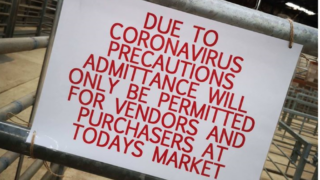 Marts seek Northern Ireland-style trade system to be enacted south of border