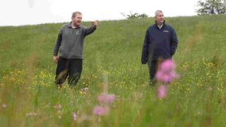 Poots launches £800,000 environmental fund for NI