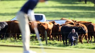 Antrim farmer goes viral with agri-spec gallery during Irish Open