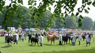 Newry and Lurgan shows cancelled, as well as UK Grassland & Muck event