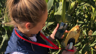 Pocket-sized moisture meter in the corn fields of the US
