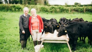M&S awards recognise best of Northern Irish agriculture