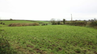 Agricultural land provides 40ac and winter accommodation for livestock
