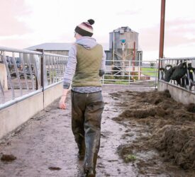 Arla Foods: Labour shortage is putting national food security at risk