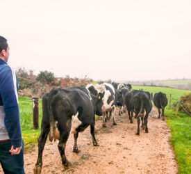 Initiative calls on dairy farmers to help shape a sustainable industry