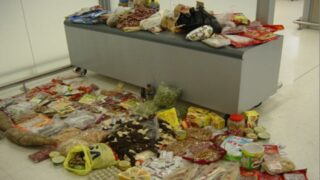 African swine fever traces detected in airport contraband in Northern Ireland