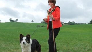 Dromore gears up for International Sheepdog Trial 2018