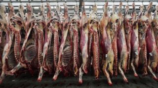 NI beef farmers encouraged to negotiate on prices
