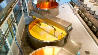 Northern Ireland food and drink processing sector growth slowed in 2018