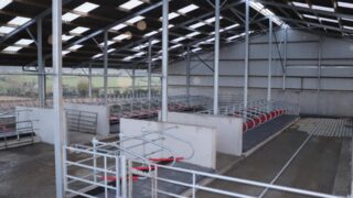 Poots rejects ammonia threshold at the centre of NI’s agricultural planning row