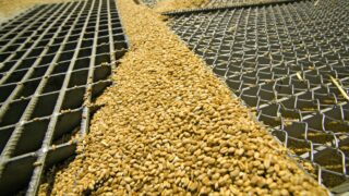 Wheat plantings at a low in US as WASDE estimates increased use