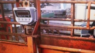 Investigations underway into theft of cattle scales