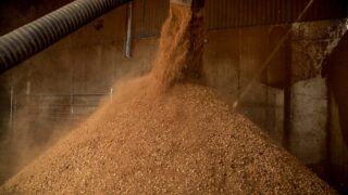 United Feeds appoints 3 new staff to ruminant nutrition team
