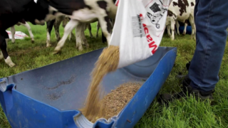 4,000 eligible farmers still to apply for NI’s Covid-19 support fund