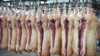 Co. Antrim meat plant forced to close as ‘significant’ Covid-19 cluster forms