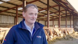 A ‘no deal’ scenario: ‘The real fear is cheaper beef imports undermining our market’
