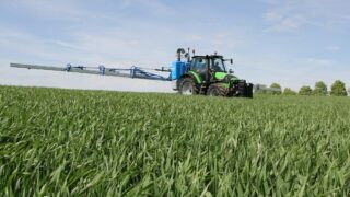 Wheat DNA shows visually clean crops had high levels of Septoria