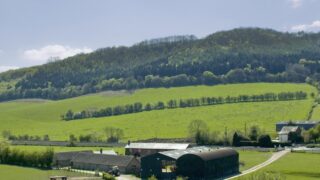 NI farmers may be in a position to receive CAP subsidies until end of 2019