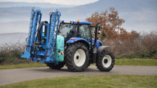 Controlling grassland weed on dairy farms – act now or pay next year