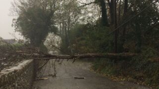 Storm Callum: Your 7-point storm repairs safety checklist