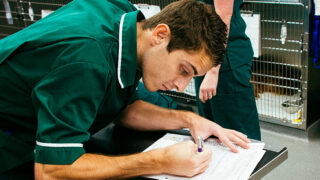 CAFRE to become Northern Ireland’s first VetSkill centre