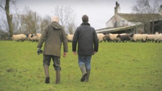 NI farmers least likely in UK to want to retire