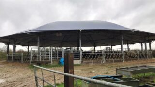 Rearing 600 calves on contract and operating a beef-finishing enterprise in the UK