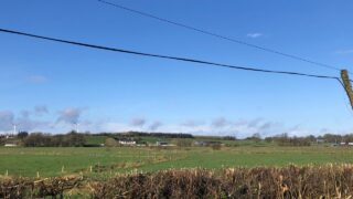 NI National Hedgerow Week to take place next week