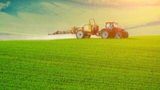 Sugar signalling applications could boost wheat yields by up to 12% – study