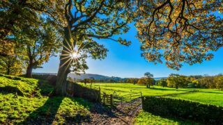 Defra: How to deal with this summer’s dry weather