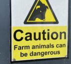 HSENI: ‘Farming has poorest safety record of any industry’