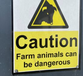 HSENI: ‘Farming has poorest safety record of any industry’