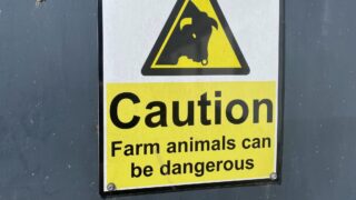 HSENI: ‘Farming has poorest safety record of any industry’