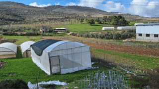 Sky’s the limit for a West Bank land and farming co-op