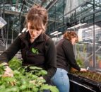 Germinal invests in R&D with machinery and researchers