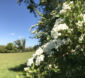 Deadline approaching for Farming with Nature Transition Scheme
