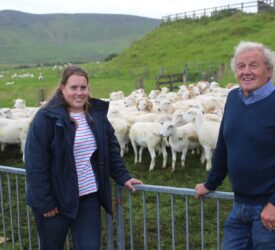 Genomics ‘can deliver positive change’ for sheep sector – specialist