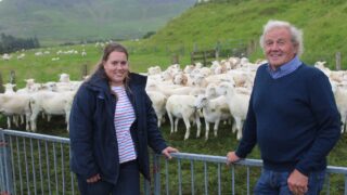 Genomics ‘can deliver positive change’ for sheep sector – specialist