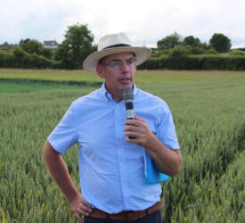 ‘Availability of BYDV-tolerant crops is a game changer’ – agronomist