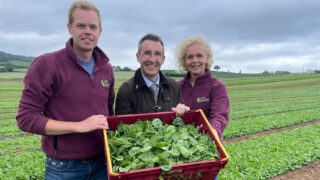 Expressions of interest open for NI Horticulture Pilot Scheme