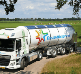 FrieslandCampina reports 20% increase in first half operating profit