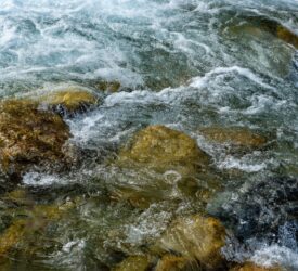 NI farmers urged to help  protect water quality